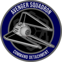 Avenger Squadron patch