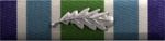 Ribbon iar sl.png