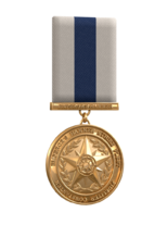 TIE Corps Commander's Unit Award