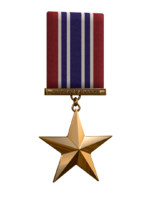 Bronzestar.png